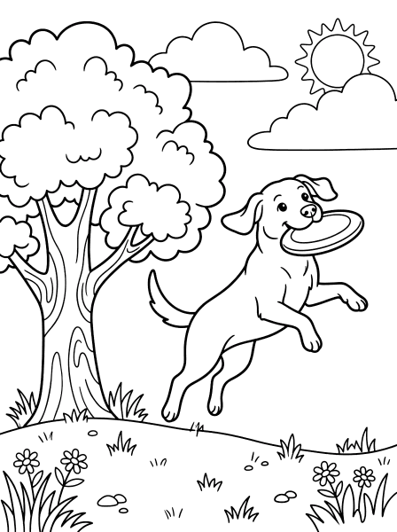 Labrador Catching Frisbee dog coloring page for kids
